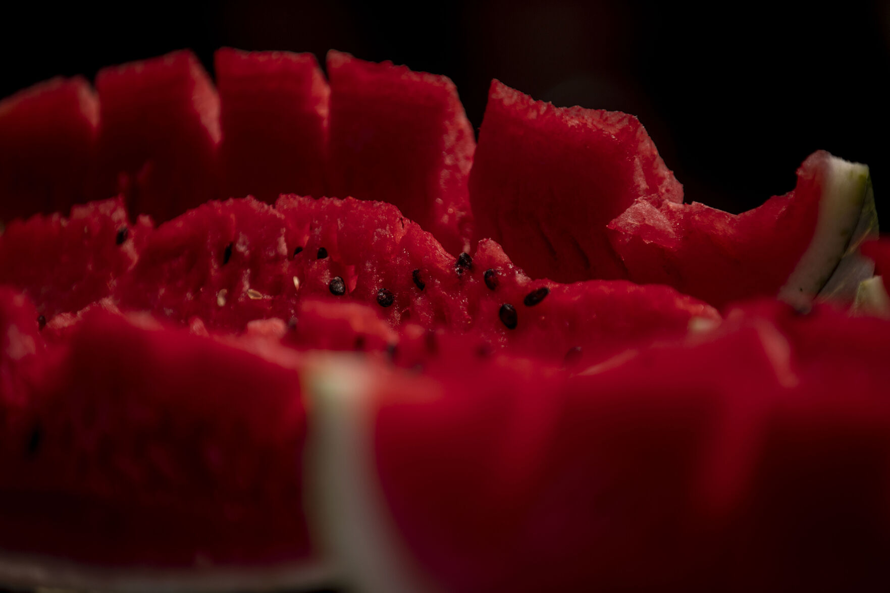 080220-news-watermelonfest 06.jpg